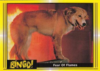 1991 Pacific Bingo #96 Fear Of Flames Front