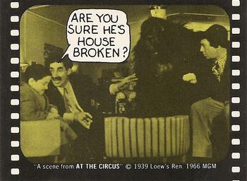 1975 Fleer Hollywood Slap-Stickers #NNO Are you sure he's house broken? / Marx Brothers: At the Circus Front