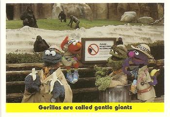 1992 Idolmaker Sesame Street #100 Gorillas are called gentle giants Front