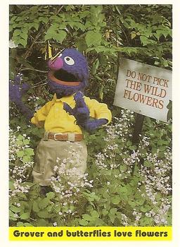 1992 Idolmaker Sesame Street #44 Grover and butterflies love flowers Front