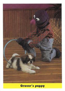 1992 Idolmaker Sesame Street #74 Grover's puppy Front