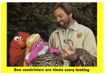 1992 Idolmaker Sesame Street #94 Boa constrictors are kinda scary looking Front