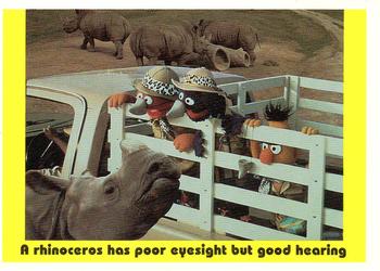 1992 Idolmaker Sesame Street #96 A rhinoceros has poor eyesight but good hearing Front