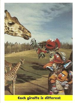 1992 Idolmaker Sesame Street #98 Each giraffe is different Front