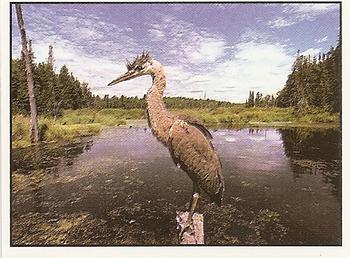 1994 Tougaroo Wild Animals Stickers #141 Great Blue Heron Front