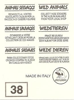 1994 Tougaroo Wild Animals Stickers #38 The Main Families: The Falconidae - Birds (Osprey) Back