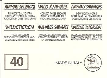 1994 Tougaroo Wild Animals Stickers #40 Barbary Ape Back