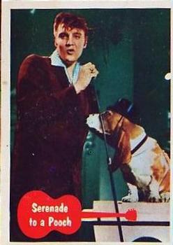 1956 Topps Elvis Presley (Bubbles, R710-1) #40 Serenade to a Pooch Front