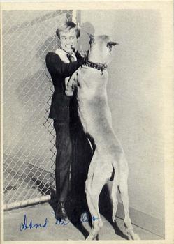 1965 Topps The Man From U.N.C.L.E #24 Illya Kuryakin battling large dog Front