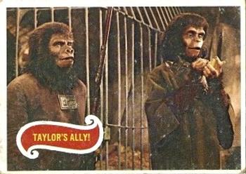 1969 Topps Planet of the Apes #22 Taylor's Ally! Front