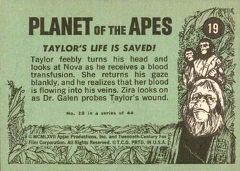 1969 Topps Planet of the Apes #19 Taylor's Life is Saved! Back