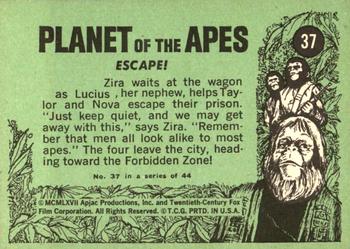 1969 Topps Planet of the Apes #37 Escape! Back