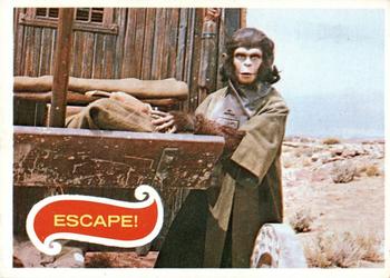 1969 Topps Planet of the Apes #37 Escape! Front