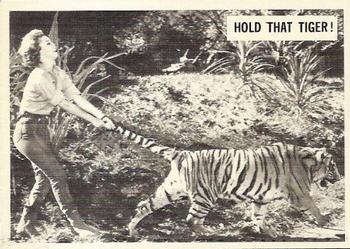 1966-67 Philadelphia Daktari #27 Hold That Tiger! Front