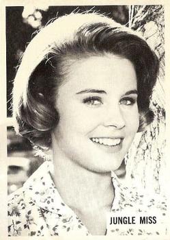 1966-67 Philadelphia Daktari #2 Jungle Miss Front