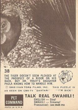 1966-67 Philadelphia Daktari #38 Hold on tight Back