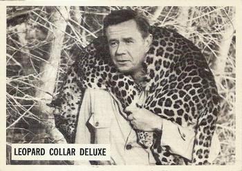 1966-67 Philadelphia Daktari #50 Leopard collar deluxe Front