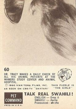 1966-67 Philadelphia Daktari #60 How Do You Feel Today? Back