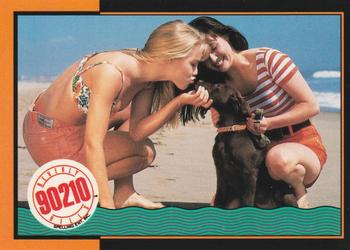 1991 Topps Beverly Hills 90210 #61 Trivia Question #26 Front
