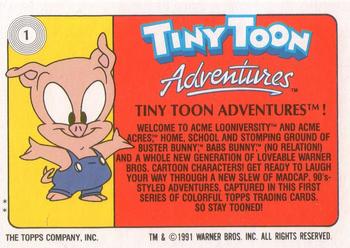1991 TOPPS TINY TOON ADVENTURES TRADING CARDS EMPTY BOX MINT 