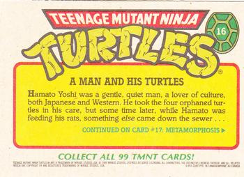 1989 O-Pee-Chee Teenage Mutant Ninja Turtles #16 A Man and His Turtles Back