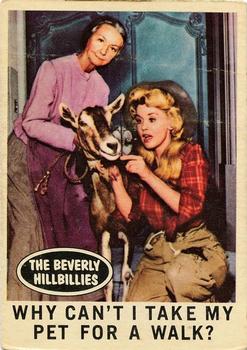 1963 Topps Beverly Hillbillies #21 Why can't I take my pet for a walk? Front