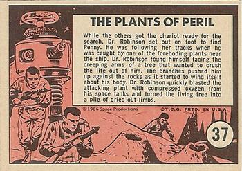 1966 Topps Lost in Space #37 The Plants Of Peril Back