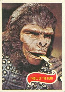 1975 Topps Planet of the Apes #16 Thrill of the Hunt Front