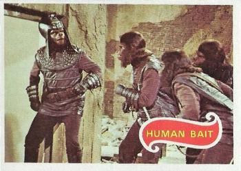 1975 Topps Planet of the Apes #31 Human Bait Front