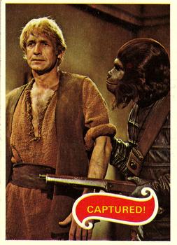 1975 Topps Planet of the Apes #34 Captured! Front