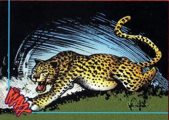 1993 Topps The Maxx #37 A Cat for the Jungle Queen Front