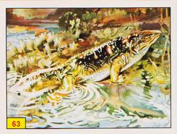 1986 Panini Dinosaurs/Prehistoric Animal Stickers #63 Ichthyostega Front