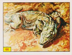 1986 Panini Dinosaurs/Prehistoric Animal Stickers #66 Seymouria Front