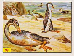 1986 Panini Dinosaurs/Prehistoric Animal Stickers #99 Hesperornis Front