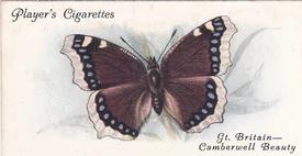 1932 Player's Butterflies #5 Gt. Britain - Camberwell Beauty Front
