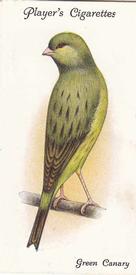 1933 Player's Aviary and Cage Birds #8 Green Canary (Self Yellow Green Border Fancy) Front