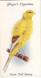 1933 Player's Aviary and Cage Birds #10 Dutch Frill Canary Front