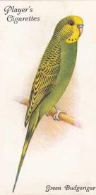 1933 Player's Aviary and Cage Birds #20 Green Budgerigar Front