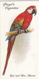 1933 Player's Aviary and Cage Birds #30 Red and Blue Macaw Front