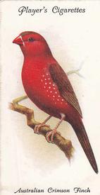 1933 Player's Aviary and Cage Birds #37 Australian Crimson Finch Front