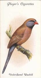 1933 Player's Aviary and Cage Birds #43 Violet-Eared Waxbill Front