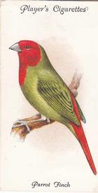 1933 Player's Aviary and Cage Birds #50 Parrot Finch Front