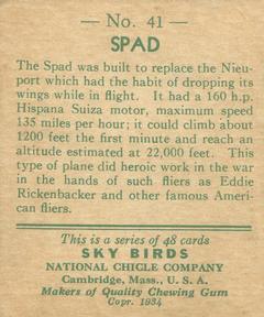 1934 National Chicle Sky Birds (R136) #41 Spad Back