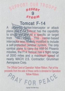 1991 AMA Group Desert Storm Operation Yellow Ribbon #9 Tomcats F-14 Back