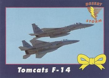1991 AMA Group Desert Storm Operation Yellow Ribbon #9 Tomcats F-14 Front