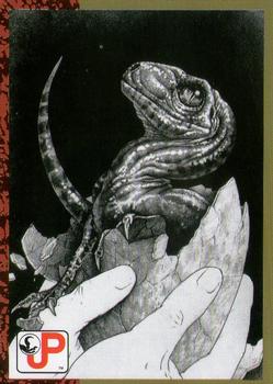 1993 Topps Jurassic Park #85 Raptor Hatchling Front