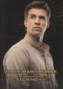 2013 NECA The Hunger Games Catching Fire #4 Gale Hawthorne Front