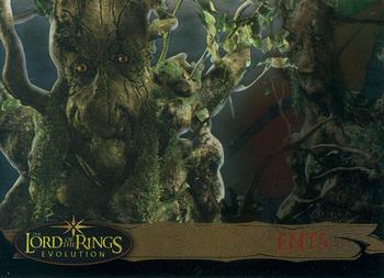 2006 Topps Lord of the Rings Evolution #53 Ents Front