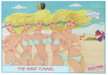 1993 Butthedz Spoofy Tunes #41 The Wind Tunnel Front