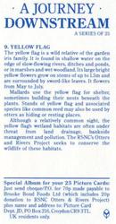 1990 Brooke Bond A Journey Downstream #9 Yellow Flag Back